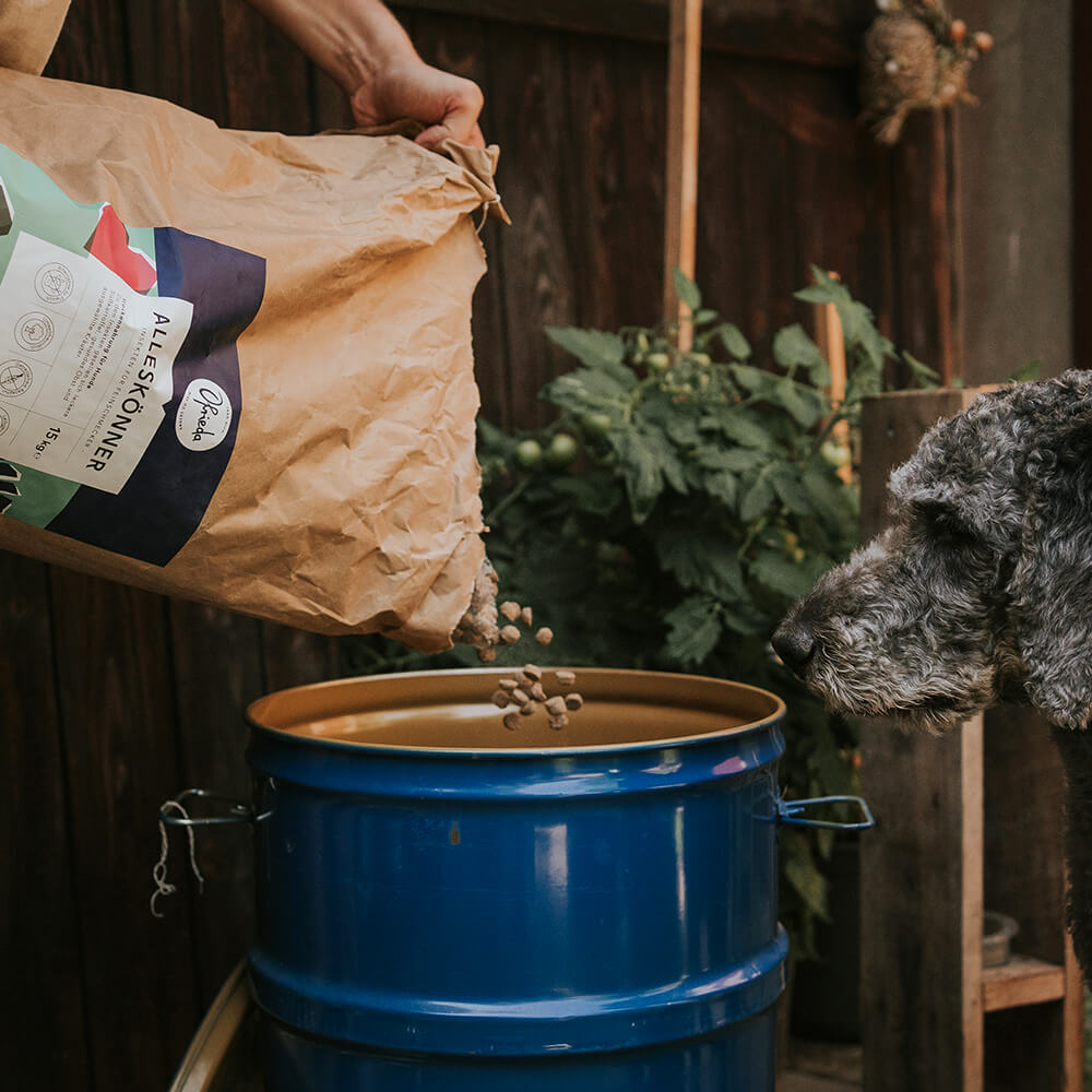 Le Classique Croquettes