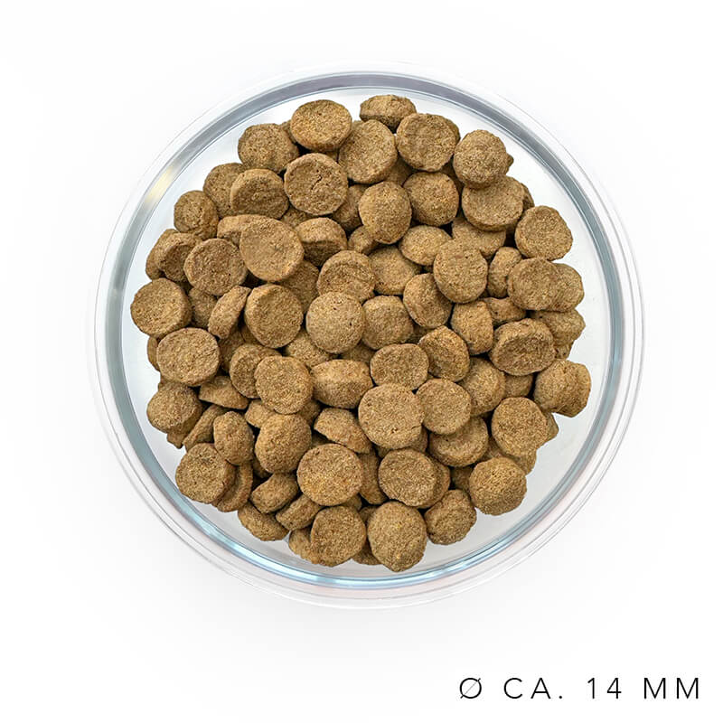 Des Le Classique croquettes dans un bol