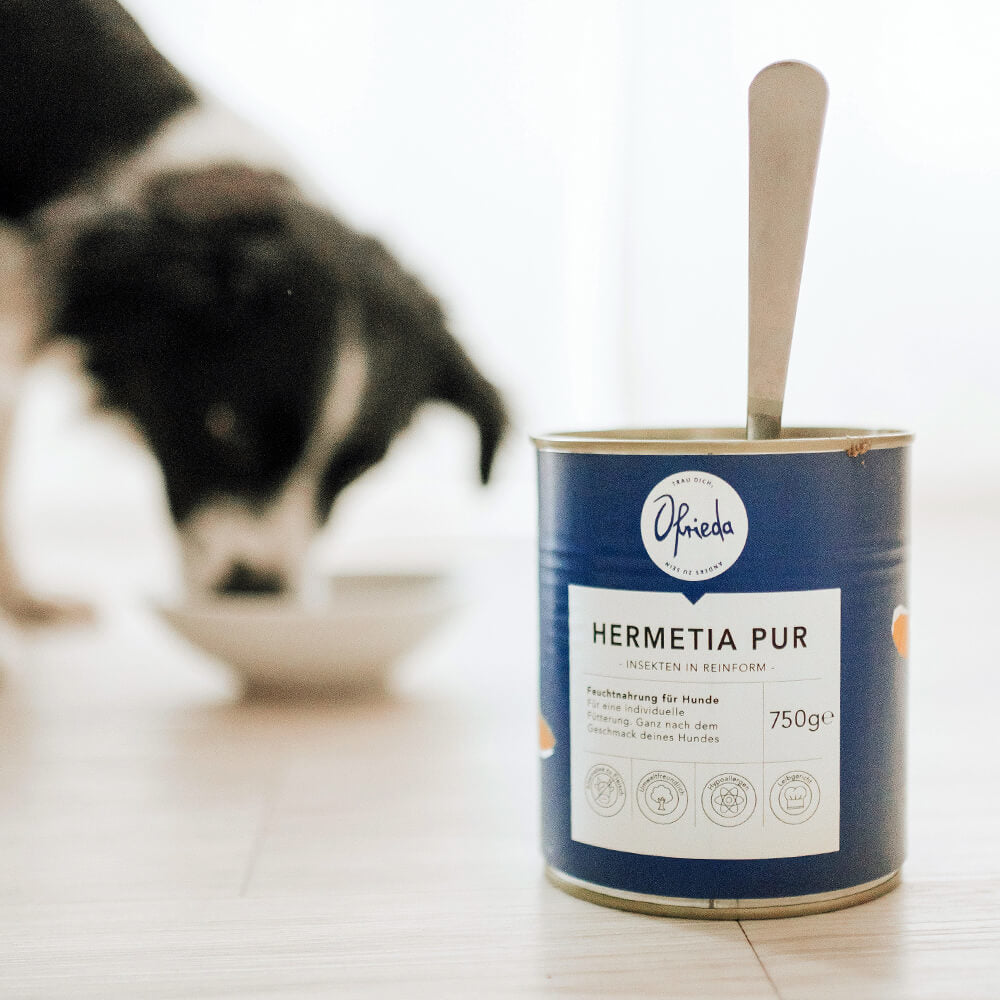 Hermetia Pur Aliments humides – Insectes, protéine unique