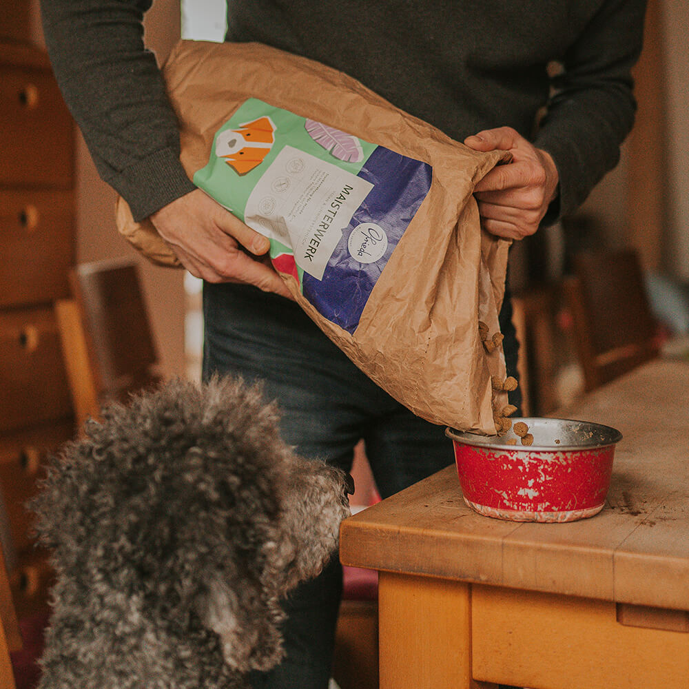 Maïs Maître (remise exclusive)