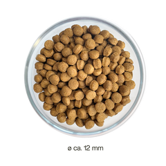 Patentrezept Trockenfutter