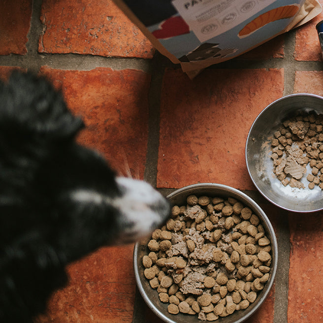 Les croquettes Recette du Calme