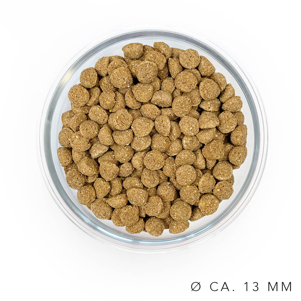 Maïs Maître (remise exclusive)