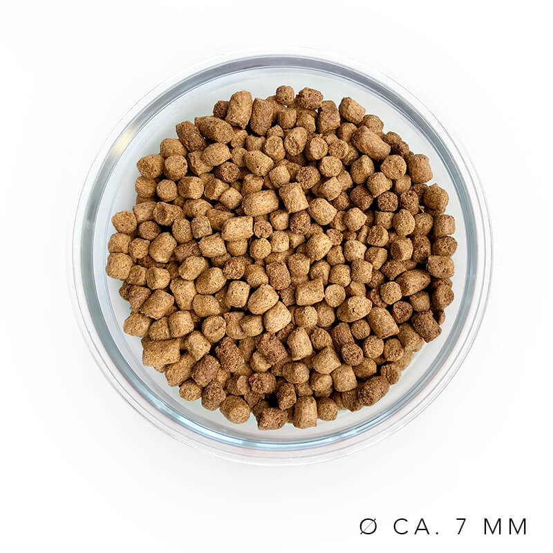 Recette du Calme Mini croquettes insectes Hermetia patate douce ofrieda