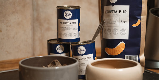 Barf pour chats : nourrir son chat avec des insectes