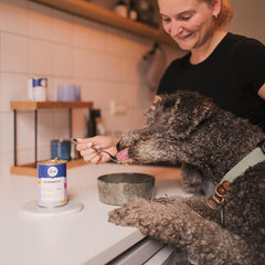 Aliments humides pour animaux