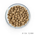 Schonkost croquettes